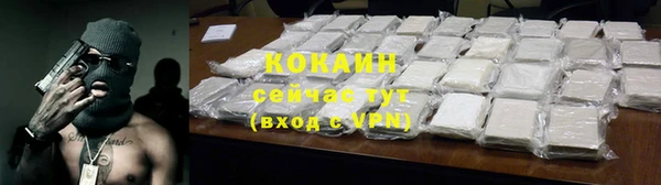 гашик Белоозёрский