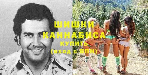 гашик Белоозёрский