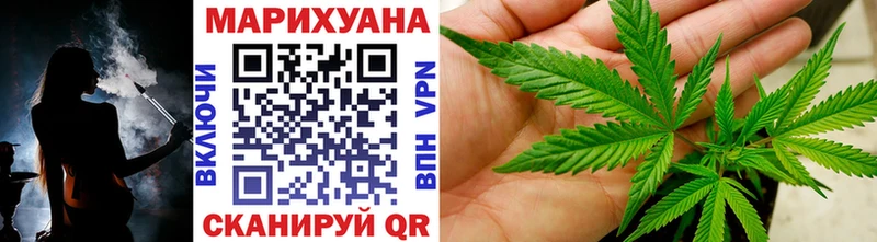 Канабис гибрид  Шенкурск 
